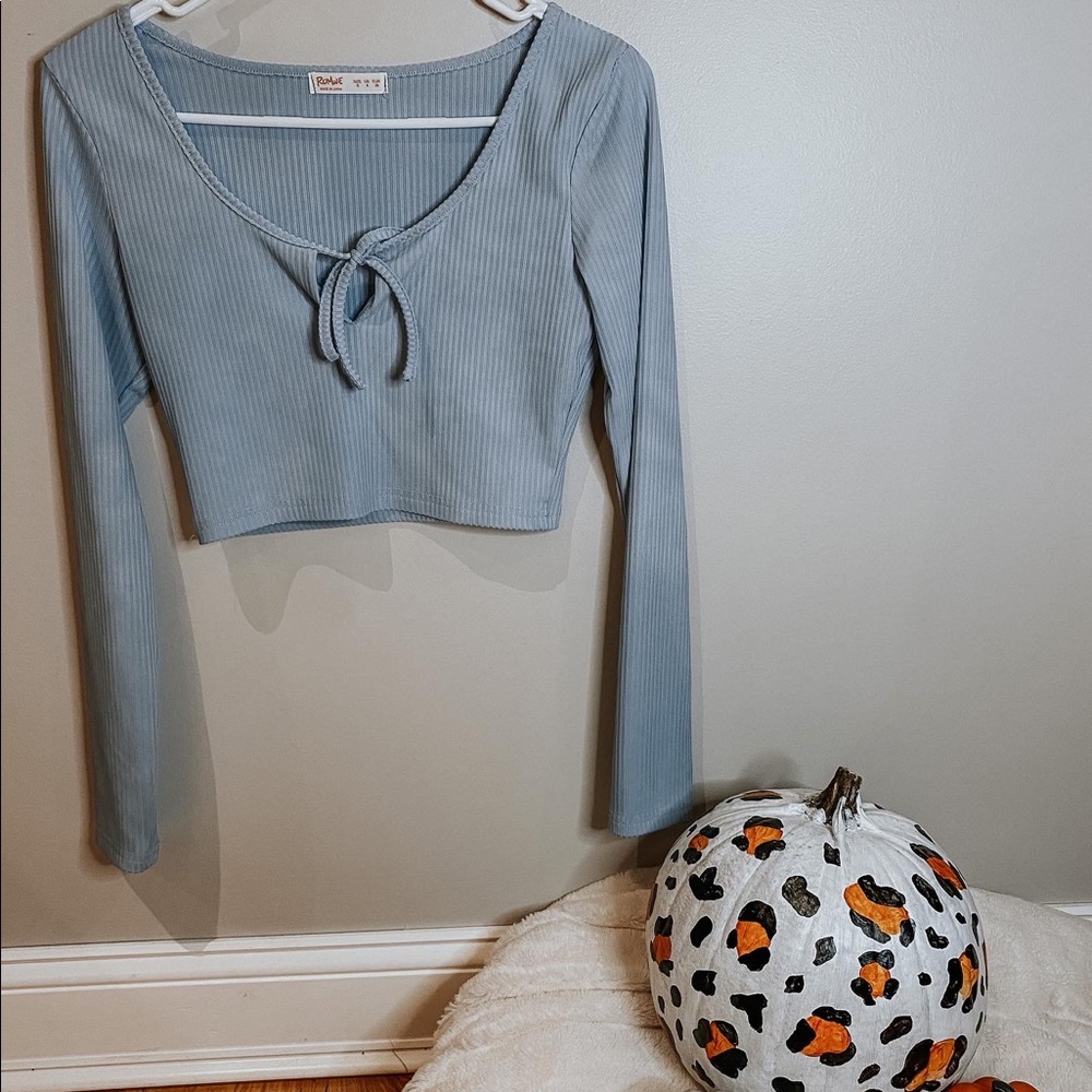 Baby Blue Long Sleeve Crop Top